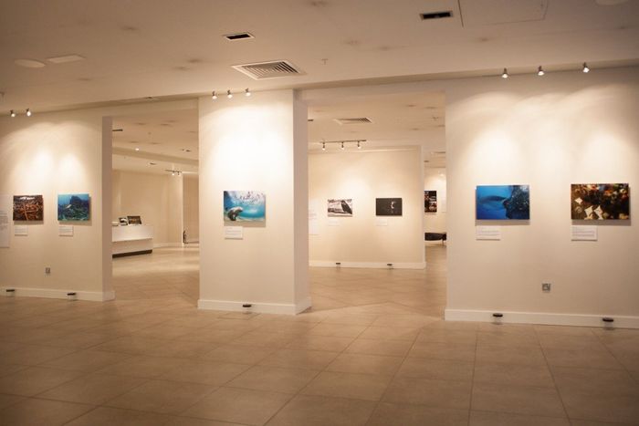 Wildlife Photographer of The Year at The chq Building