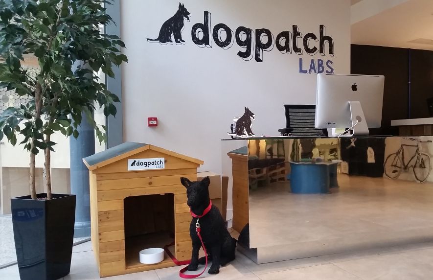 Dogpatch Labs