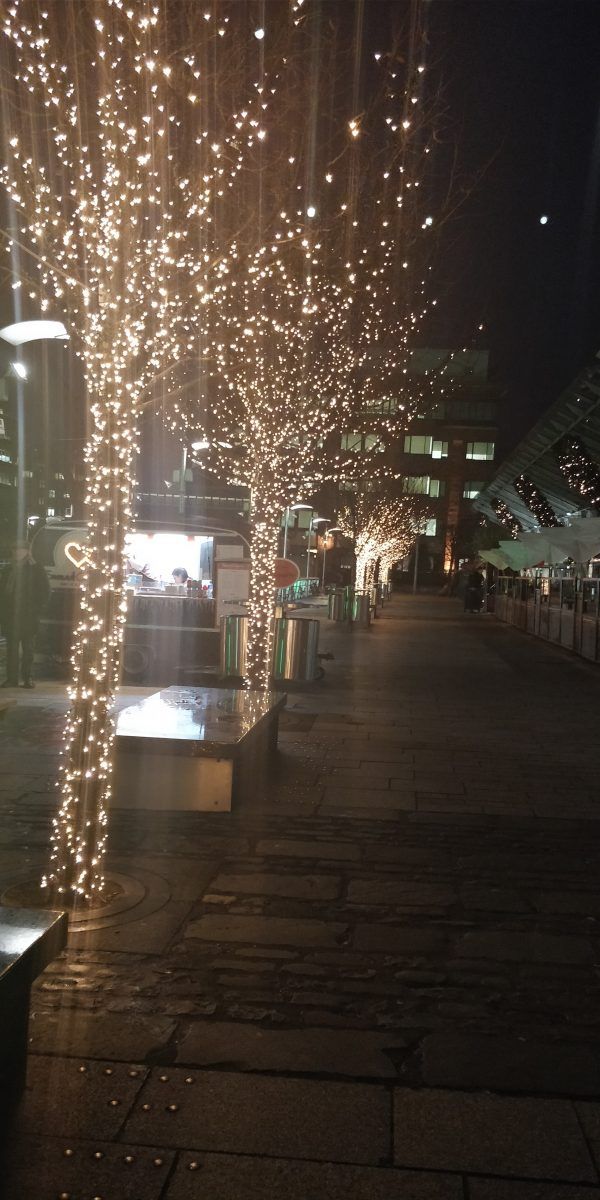 Lights in the dark