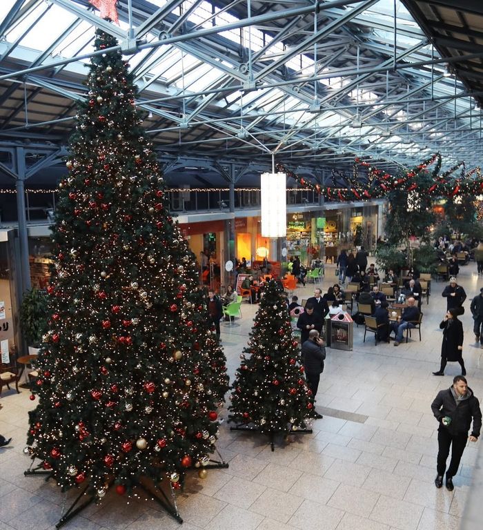 CHQ Christmas Tree