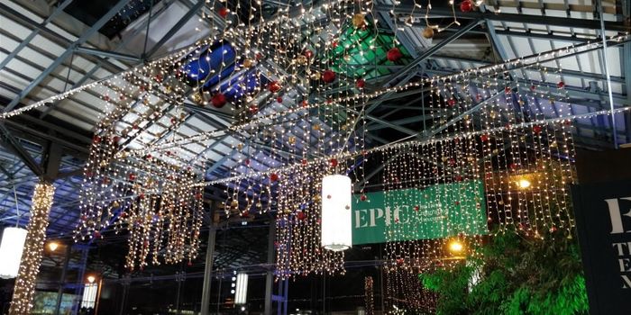 Ceiling Christmas Lights