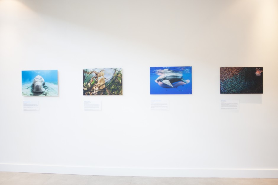 Wildlife Photographer of The Year at The chq Building