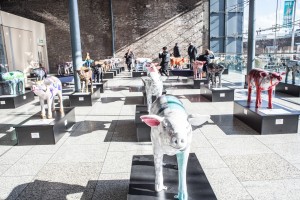 CHQ-Lunch-Time-SCorniani-11