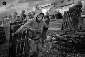 Paul Kelly Exhibition “North Wall Series”